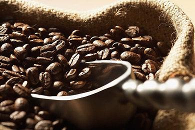 《Love Live! 》系列新作 官方卡游将于2025年春季发售